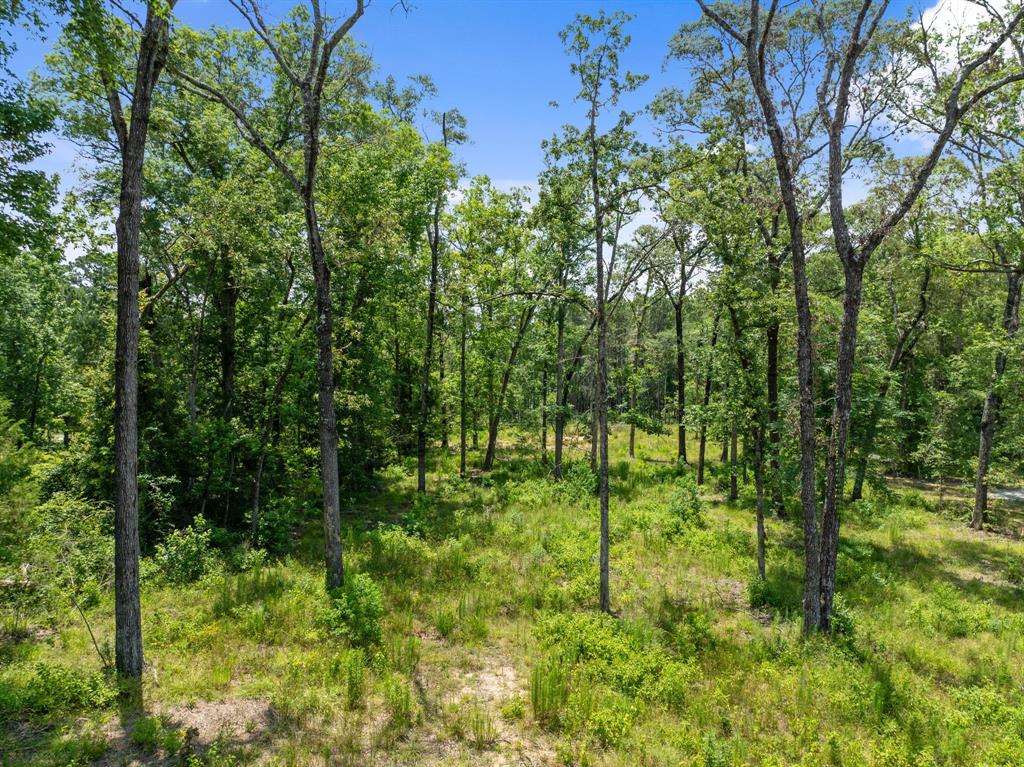4015 W Fm 2693, New Waverly, Texas image 10