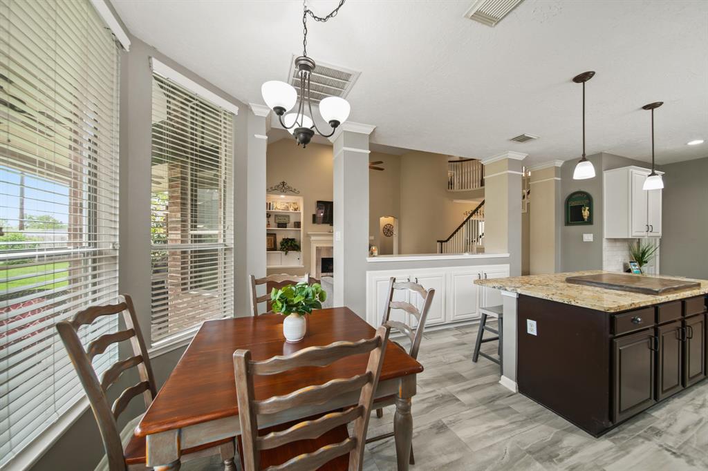 9602 Randon Lane, Missouri City, Texas image 22