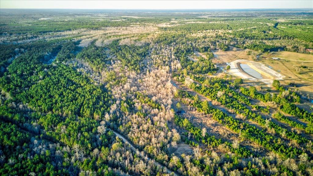 TBD County Road 4086, Bon Wier, Texas image 9