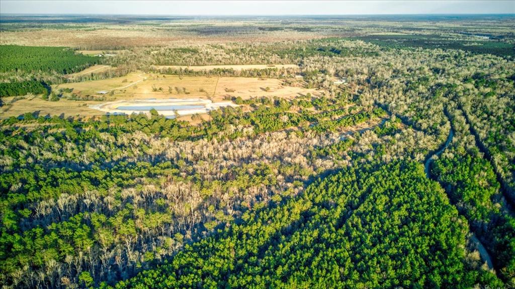 TBD County Road 4086, Bon Wier, Texas image 12