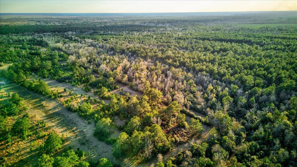 TBD County Road 4086, Bon Wier, Texas image 13
