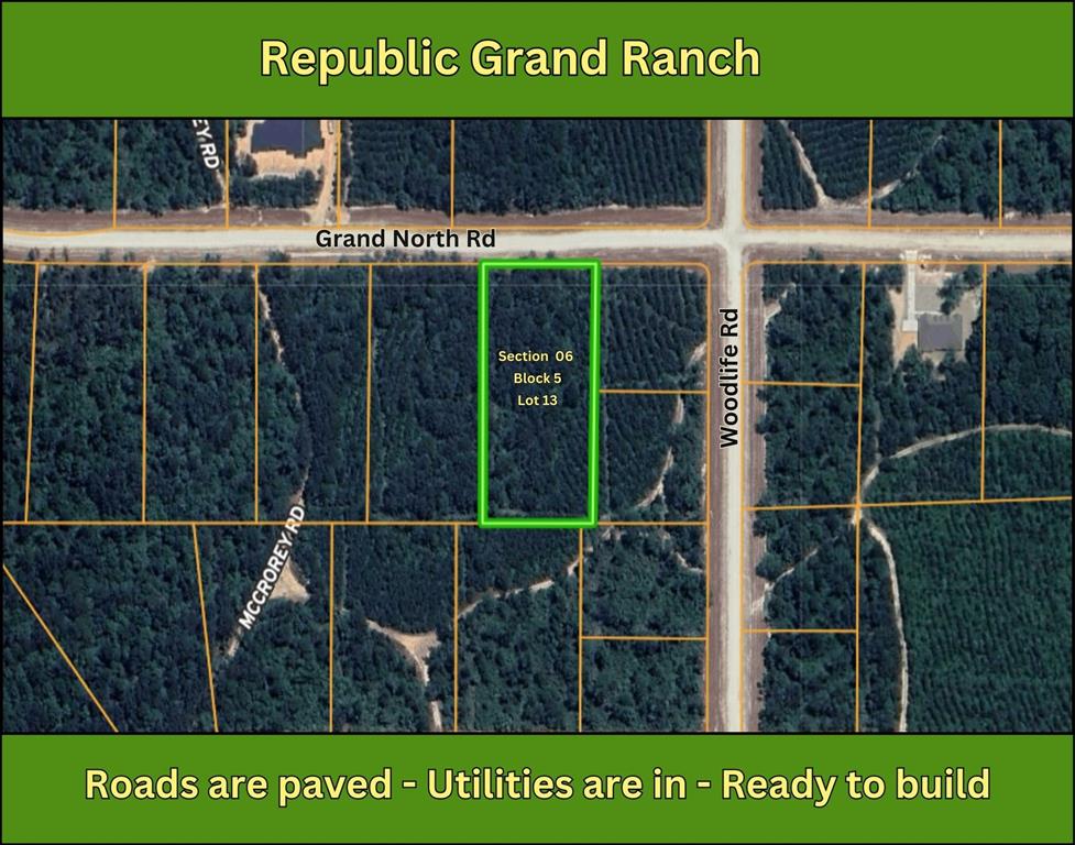 11818 Grand North Road, Willis, Texas image 6