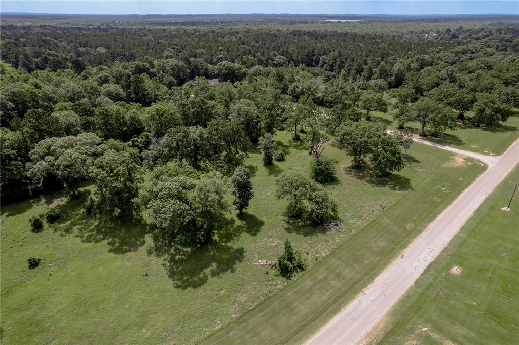 Lot 11 Tara Drive, Trinity, Texas image 21