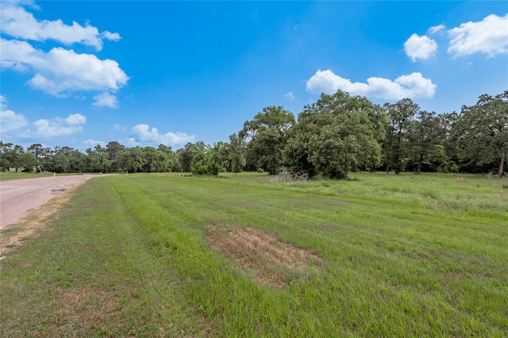 Lot 11 Tara Drive, Trinity, Texas image 1