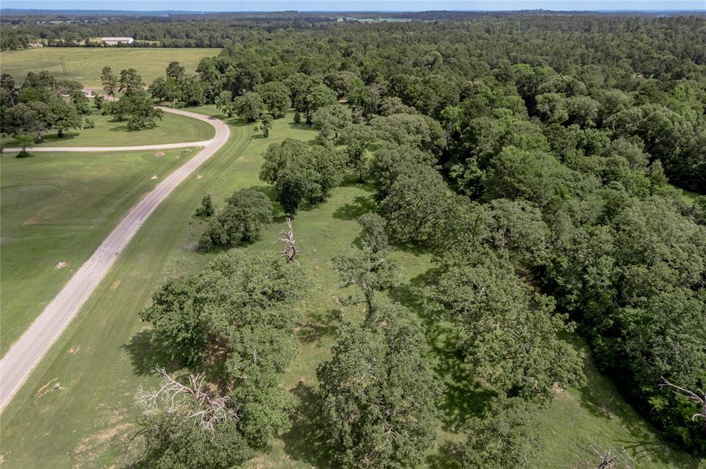 Lot 11 Tara Drive, Trinity, Texas image 25