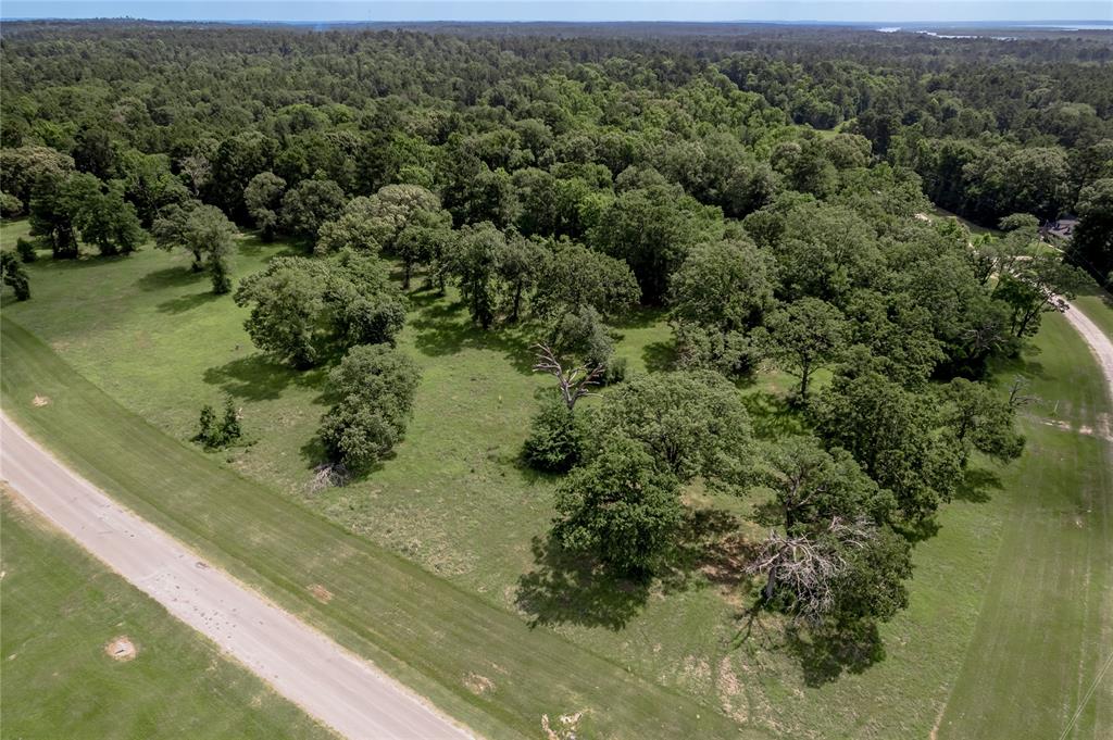 Lot 11 Tara Drive, Trinity, Texas image 26