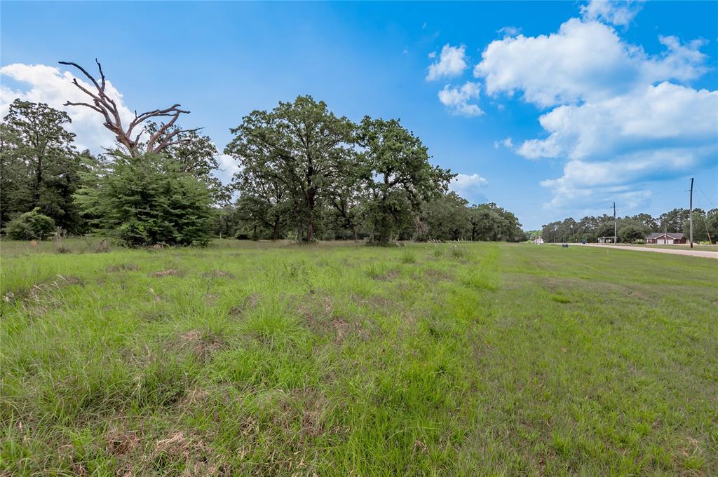 Lot 11 Tara Drive, Trinity, Texas image 10