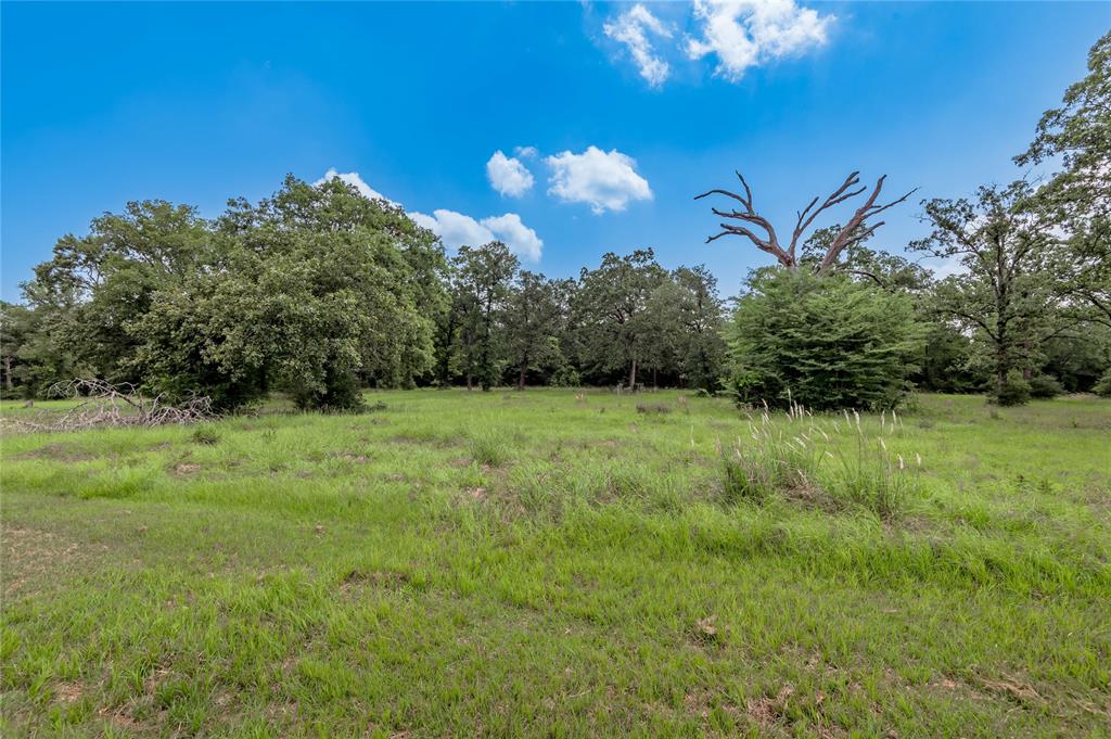 Lot 11 Tara Drive, Trinity, Texas image 6