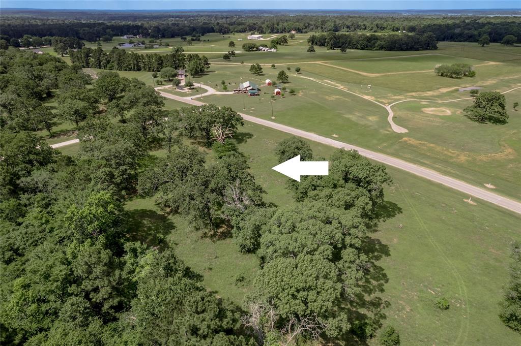 Lot 11 Tara Drive, Trinity, Texas image 3