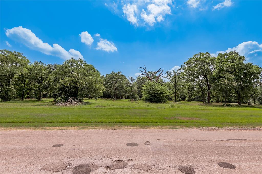 Lot 11 Tara Drive, Trinity, Texas image 4