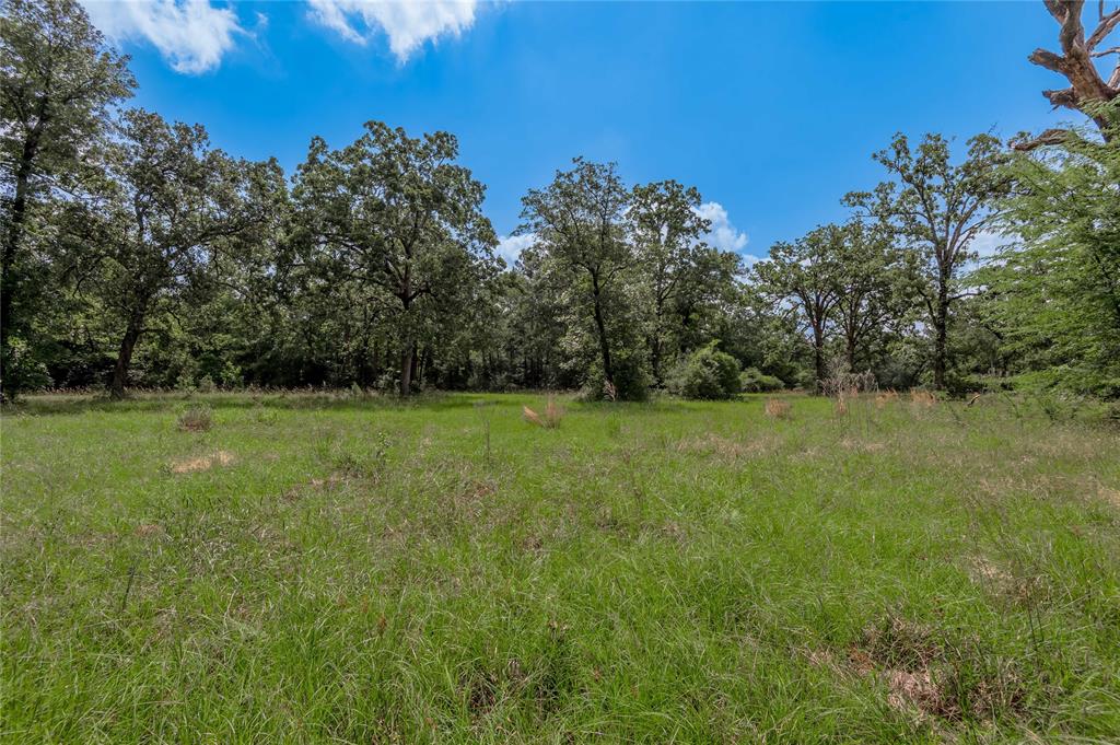 Lot 11 Tara Drive, Trinity, Texas image 8