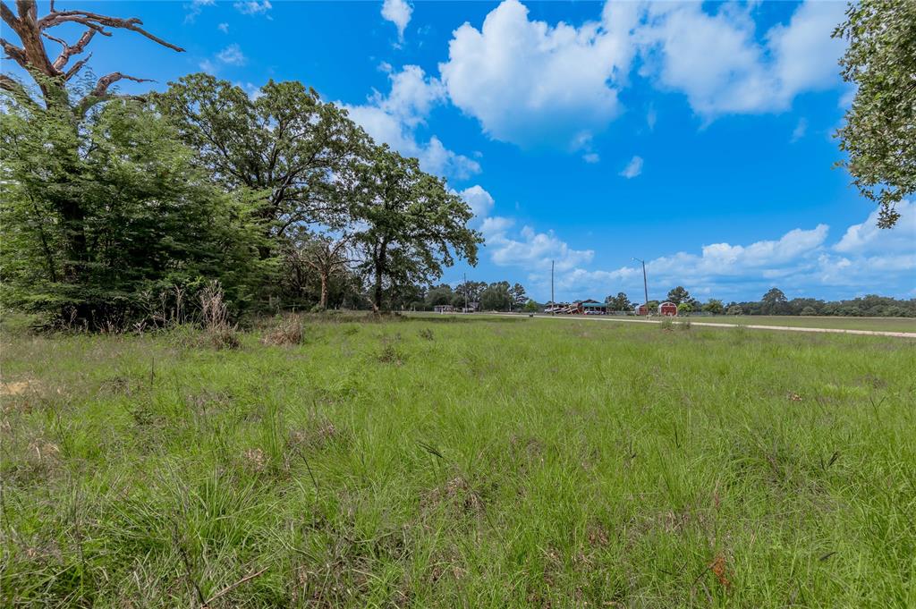 Lot 11 Tara Drive, Trinity, Texas image 9