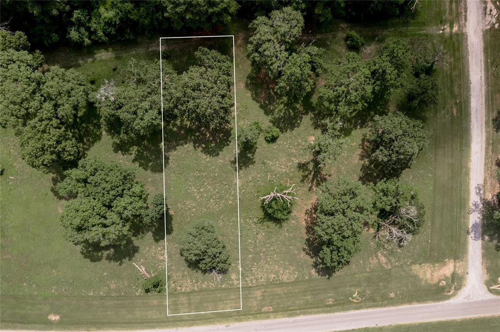Lot 11 Tara Drive, Trinity, Texas image 2