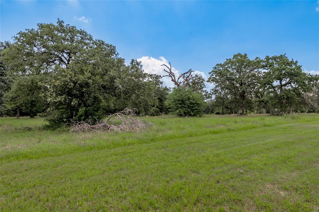 Lot 11 Tara Drive, Trinity, Texas image 11
