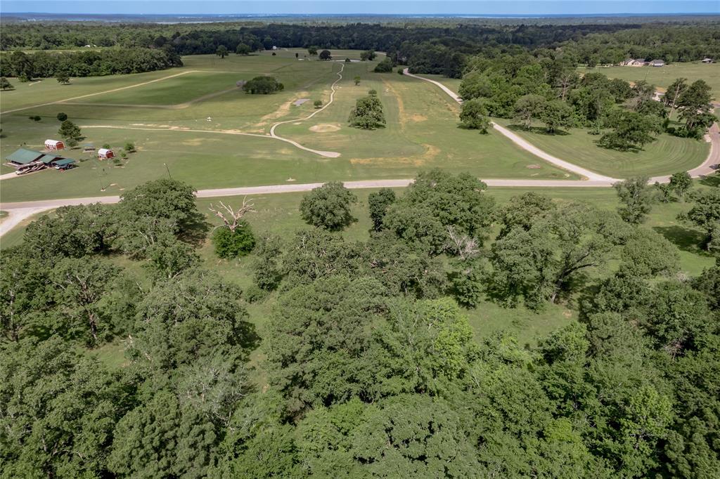 Lot 11 Tara Drive, Trinity, Texas image 23