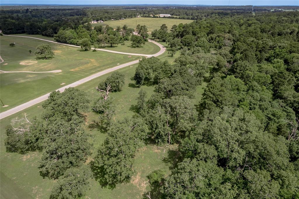 Lot 11 Tara Drive, Trinity, Texas image 24