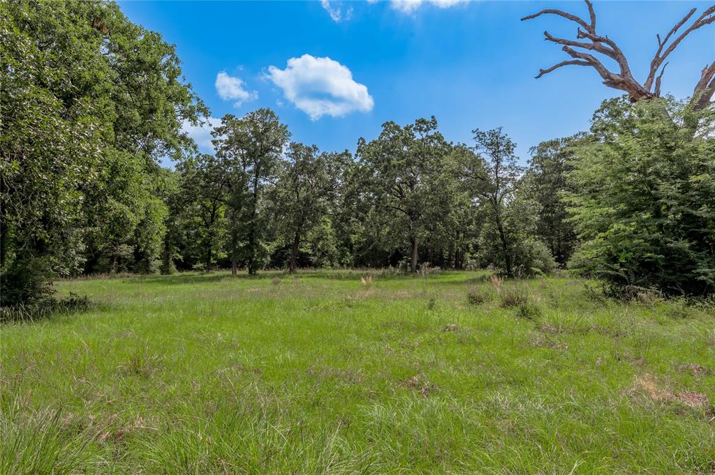 Lot 11 Tara Drive, Trinity, Texas image 7
