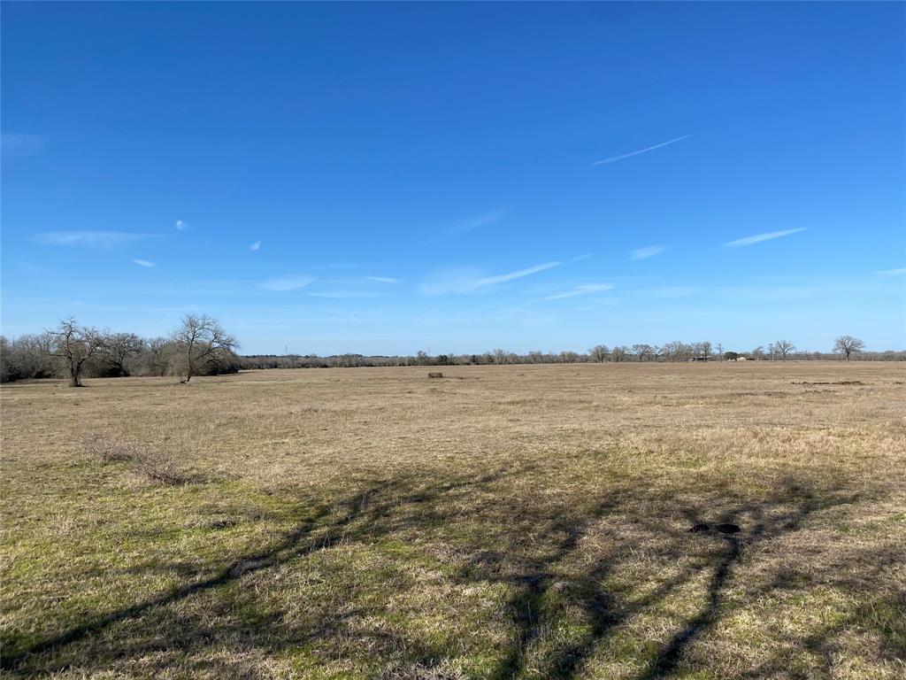 15 Acres Lot 7, Hwy 30, Bedias, Texas image 16