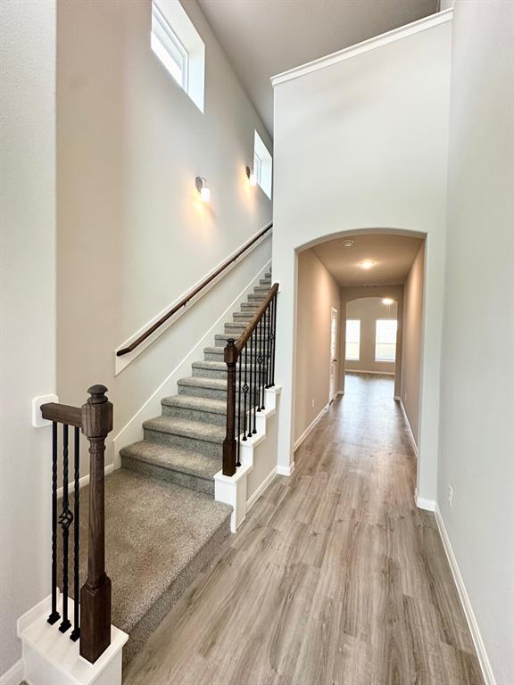 5041 Marcasca Drive, Katy, Texas image 2