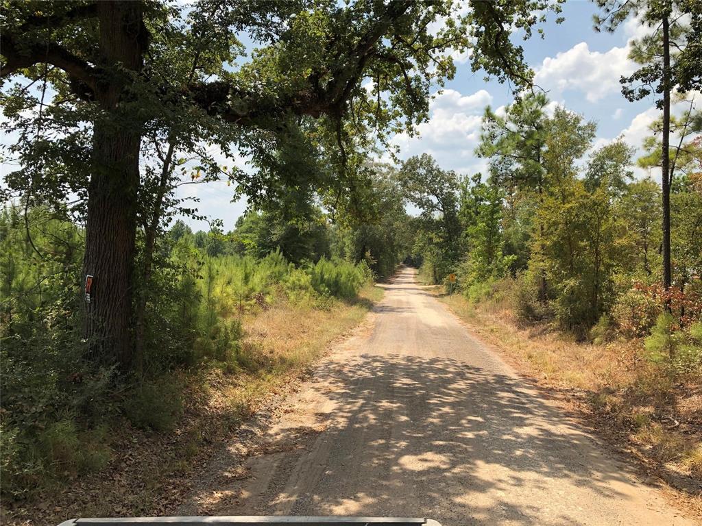 Raven Hill Road, Oakhurst, Texas image 3