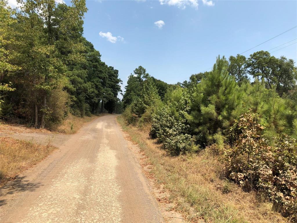 Raven Hill Road, Oakhurst, Texas image 6