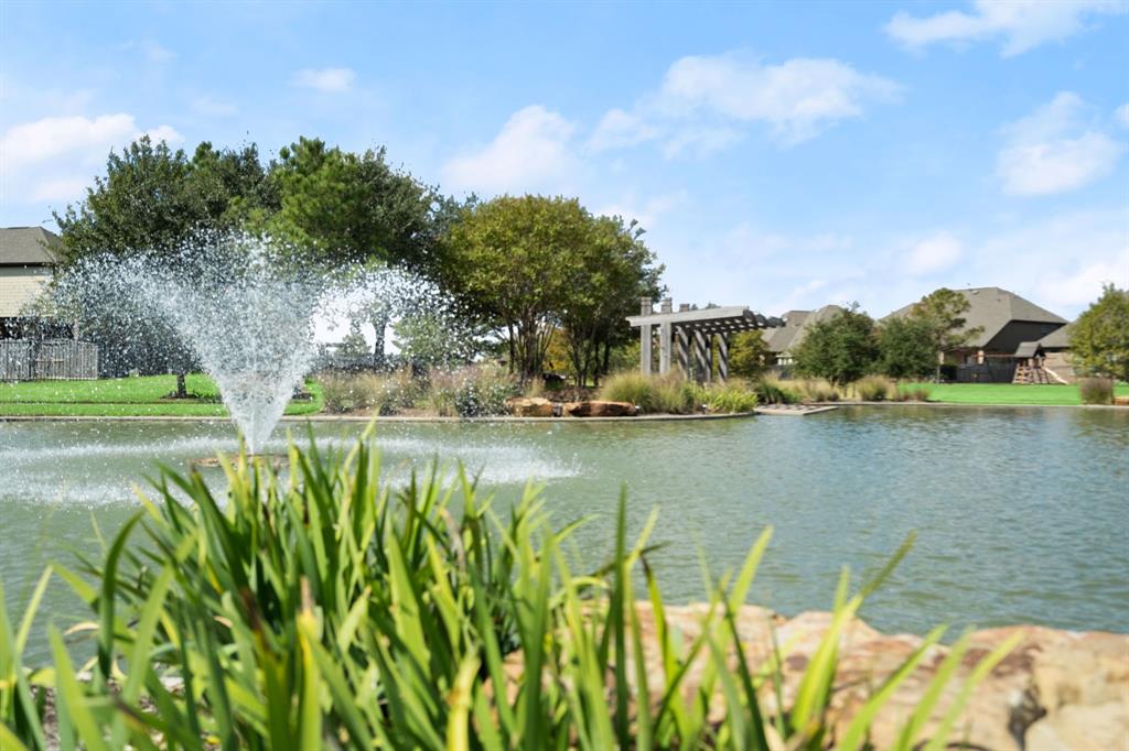 19110 Blue Hill Lane, Tomball, Texas image 44