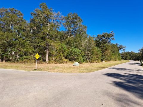 Vacant Land For Sale - 614 Road 6324<br/> Dayton, TX 77535