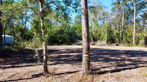 21064 Idle Glen Roadway New Caney TX 77357