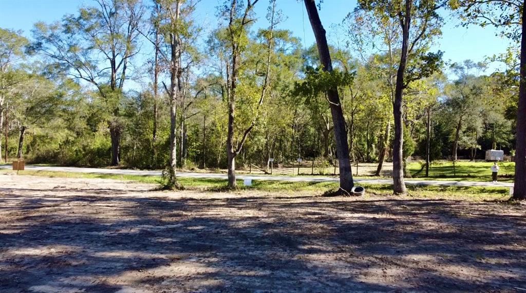 21064 Idle Glen Roadway, New Caney, Texas image 3