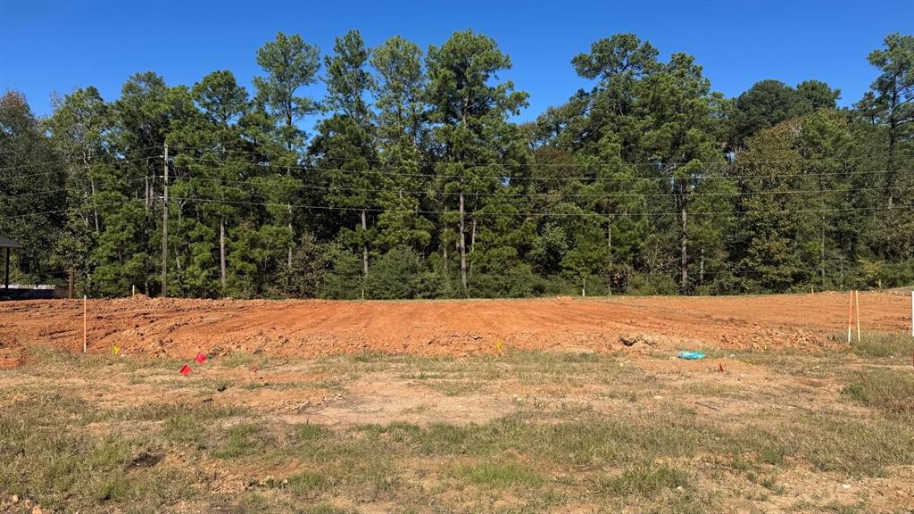 12113 Ridge Top Drive, Conroe, Texas image 2