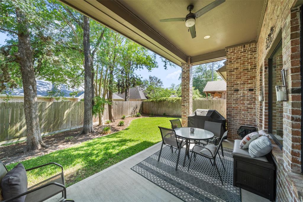 12786 Virgo Drive, Willis, Texas image 21