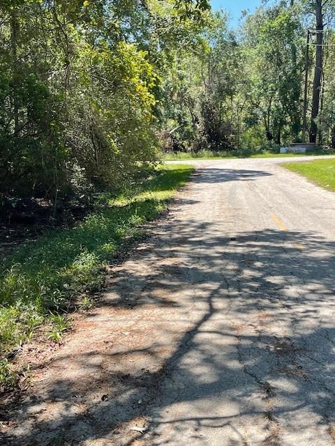 Idle Wild Road, New Caney, Texas image 9