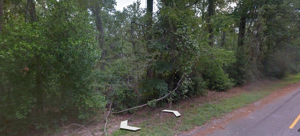 Idle Wild Road, New Caney, Texas image 6