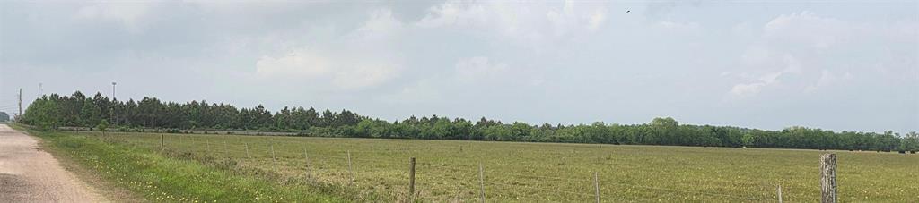 TRACT 14 Fm686 And Cr621, Dayton, Texas image 7