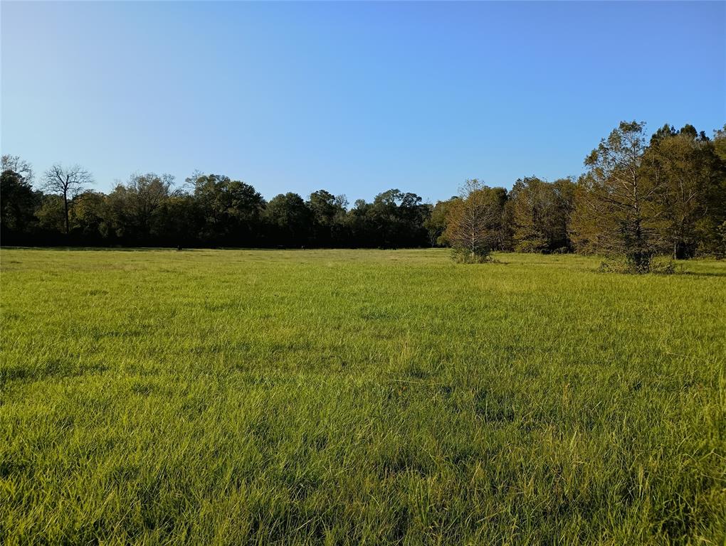 TBD Cr 2800, Colmesneil, Texas image 2