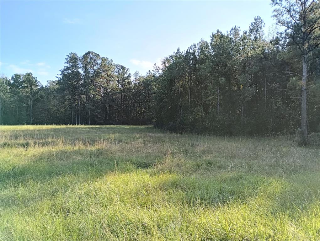 TBD Cr 2800, Colmesneil, Texas image 8