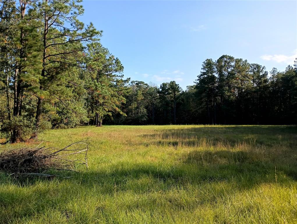 TBD Cr 2800, Colmesneil, Texas image 6