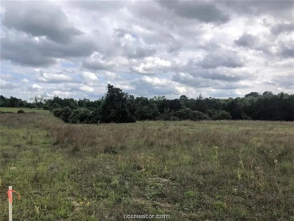 4476 Hampshire Lane, Franklin, Texas image 7