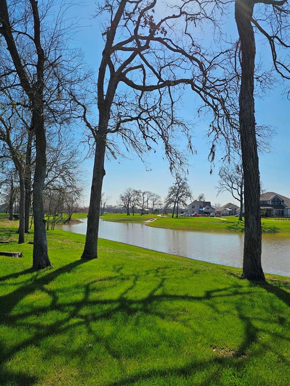 32710 Fly Fish Way Way, Fulshear, Texas image 24