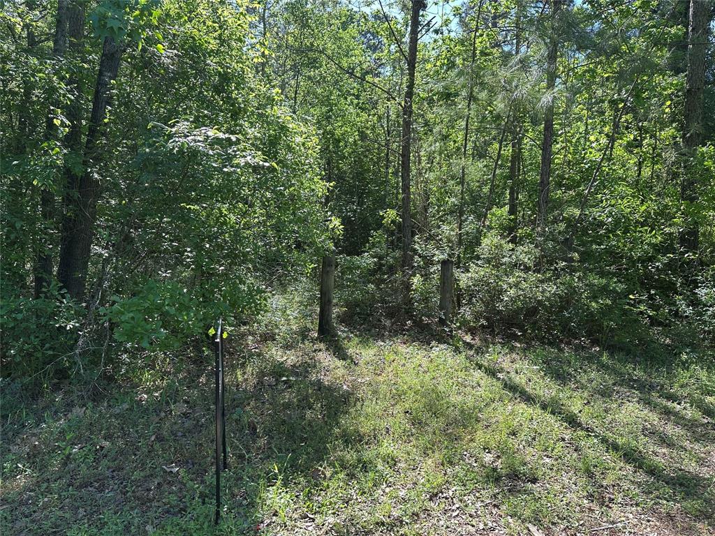 Yates Street, Conroe, Texas image 1