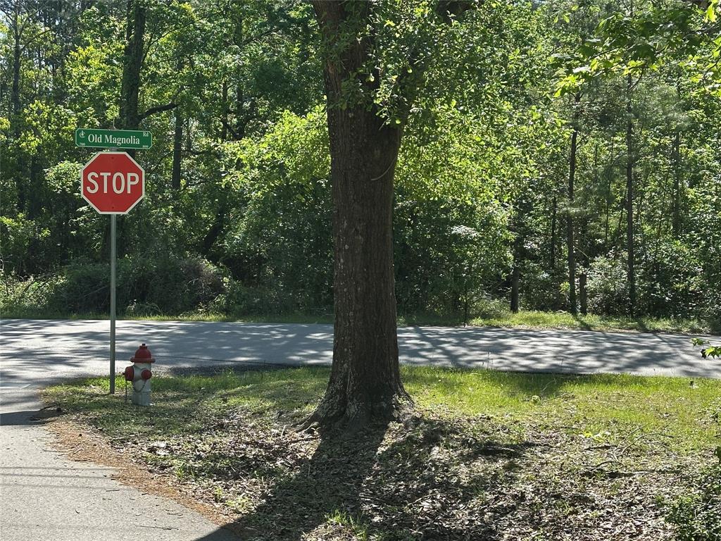Yates Street, Conroe, Texas image 6