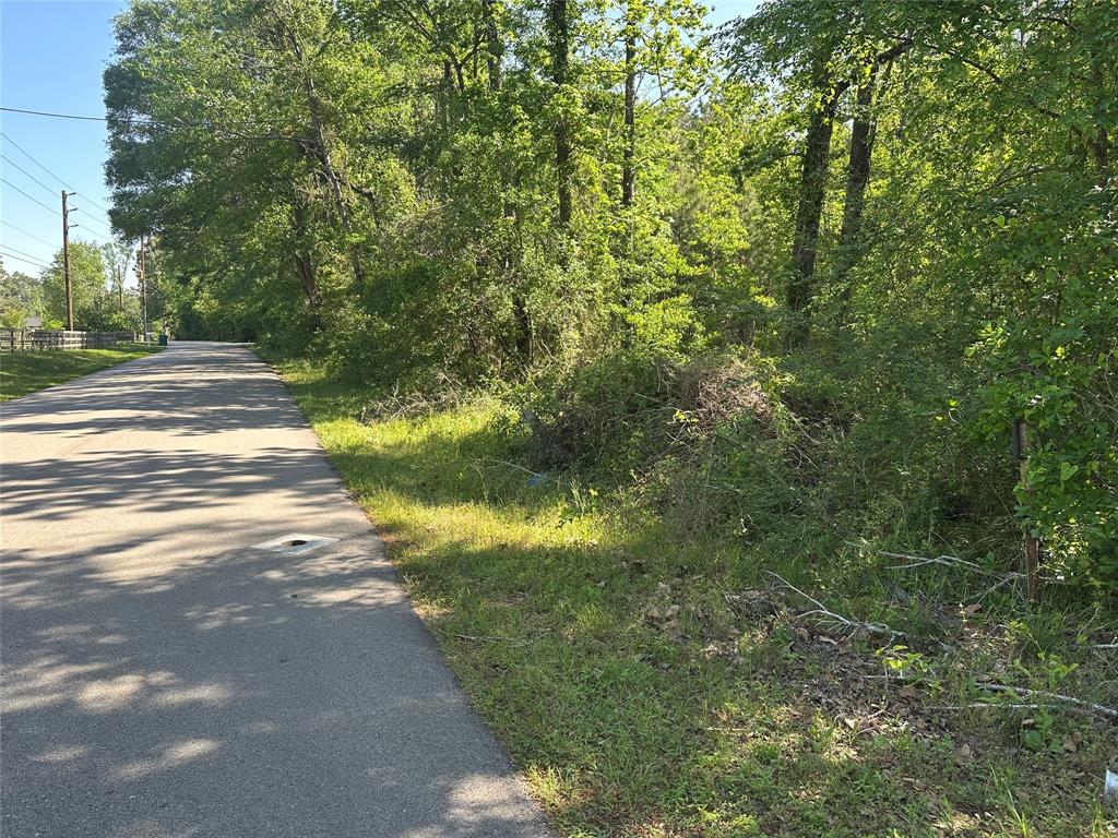 Yates Street, Conroe, Texas image 7