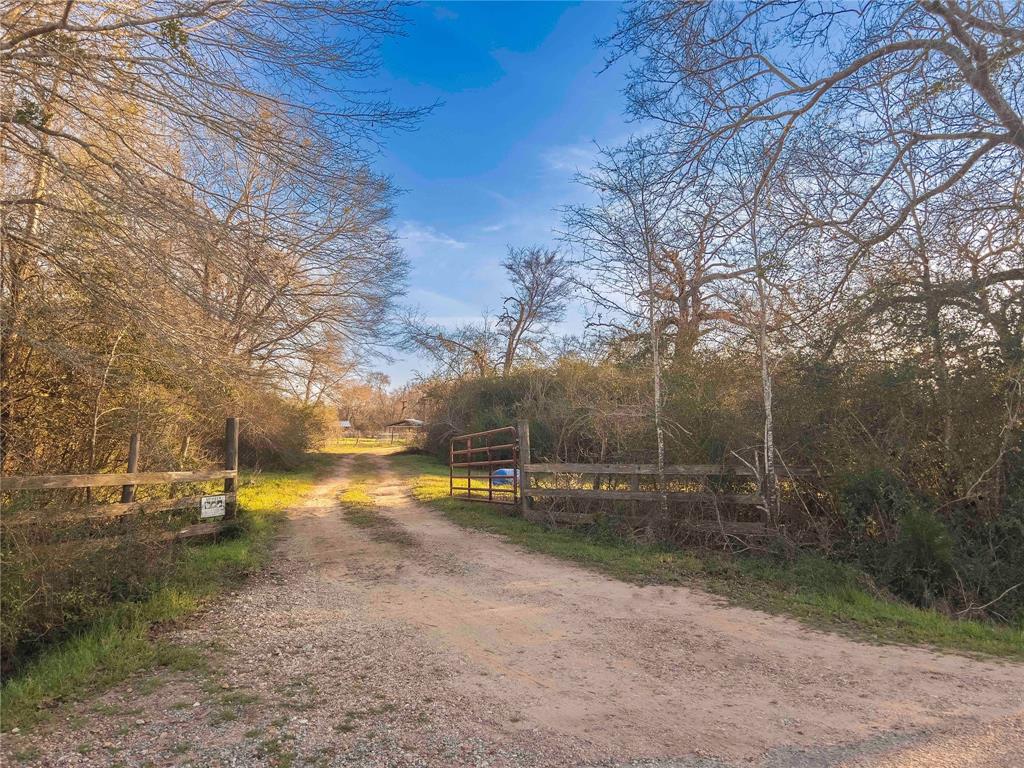 38241 Wiggins Road, Hempstead, Texas image 1