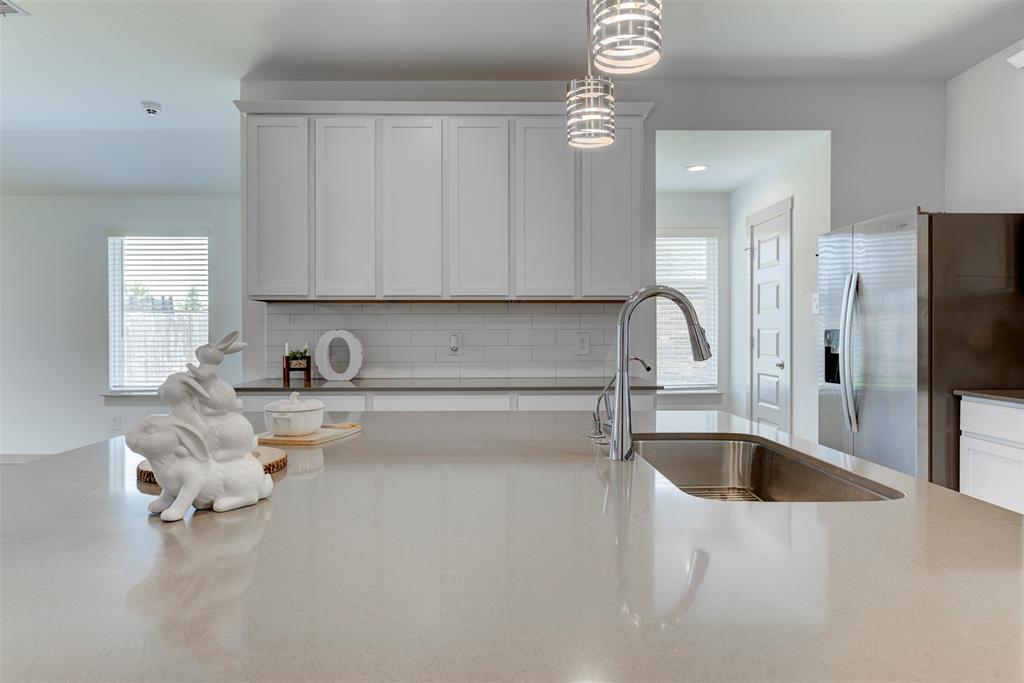 29751 Cayenne Circle, Katy, Texas image 13