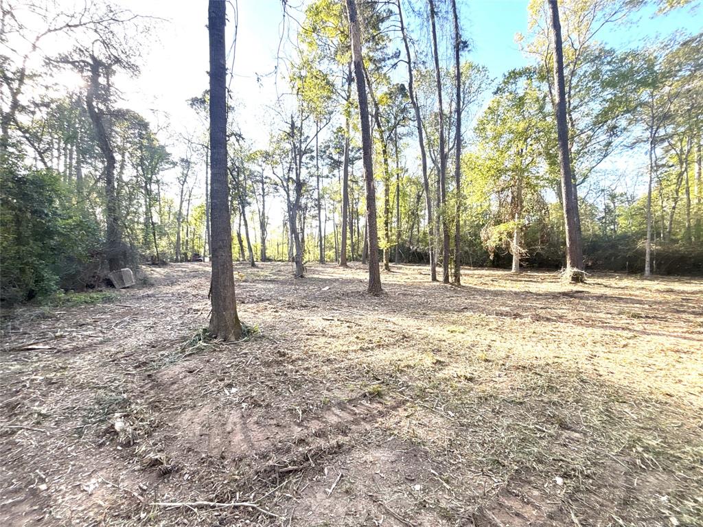 Lilac Lane, New Caney, Texas image 5