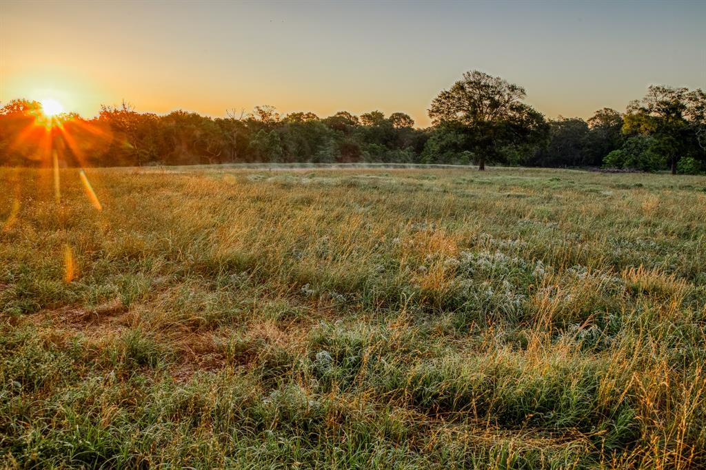 5110 Mill Creek Road Rd, Cat Spring, Texas image 26