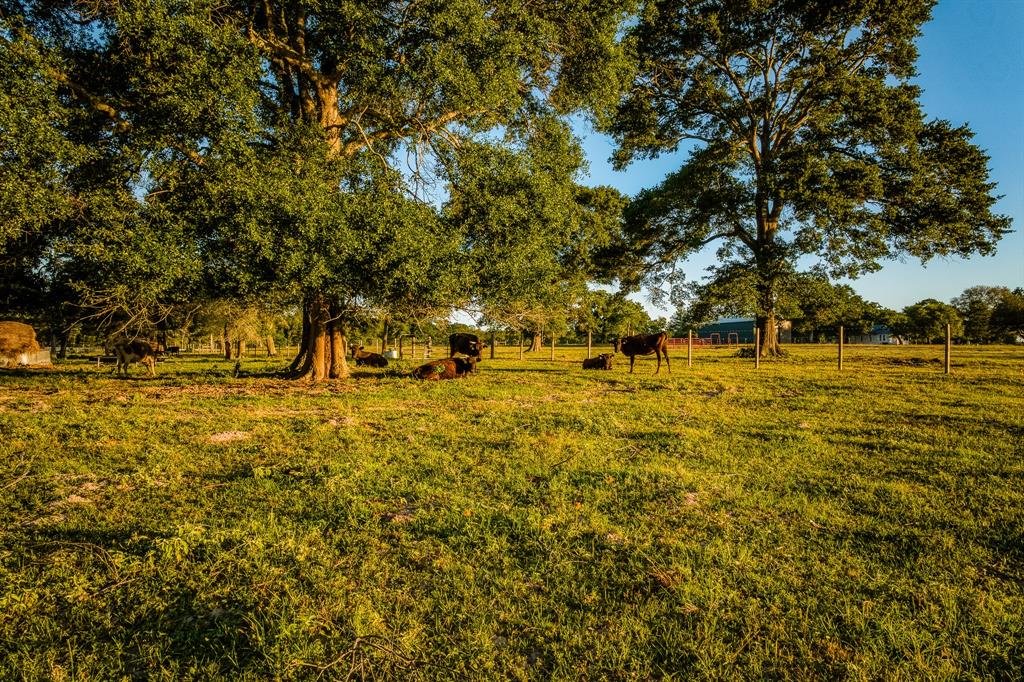 5110 Mill Creek Road Rd, Cat Spring, Texas image 17