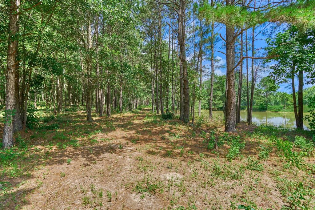 Tract B Sharp View Road, Montgomery, Texas image 10