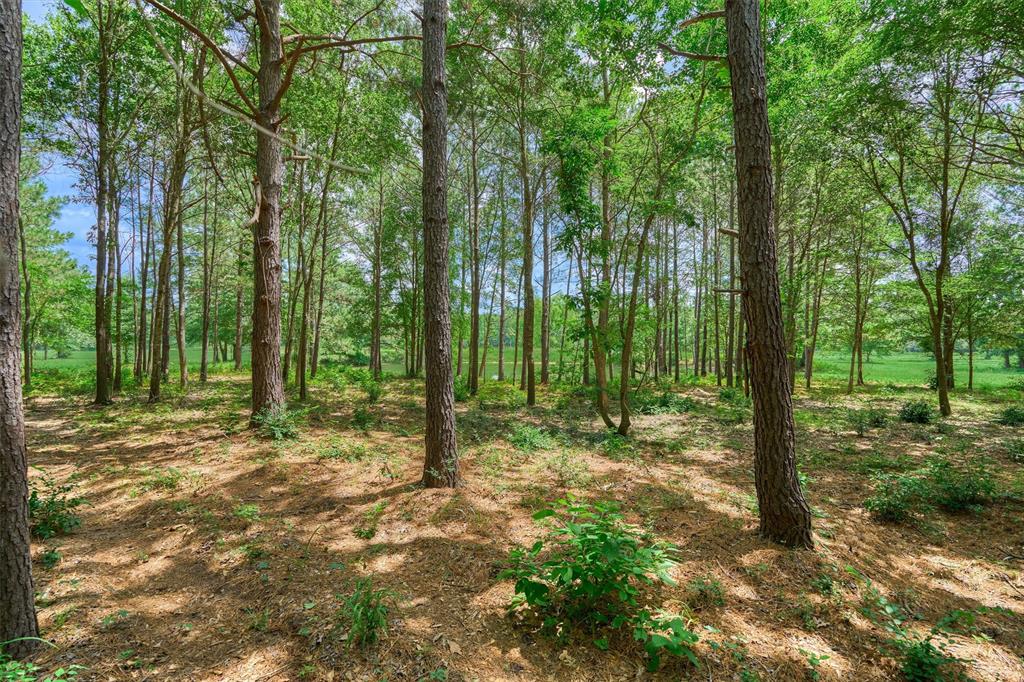 Tract B Sharp View Road, Montgomery, Texas image 7