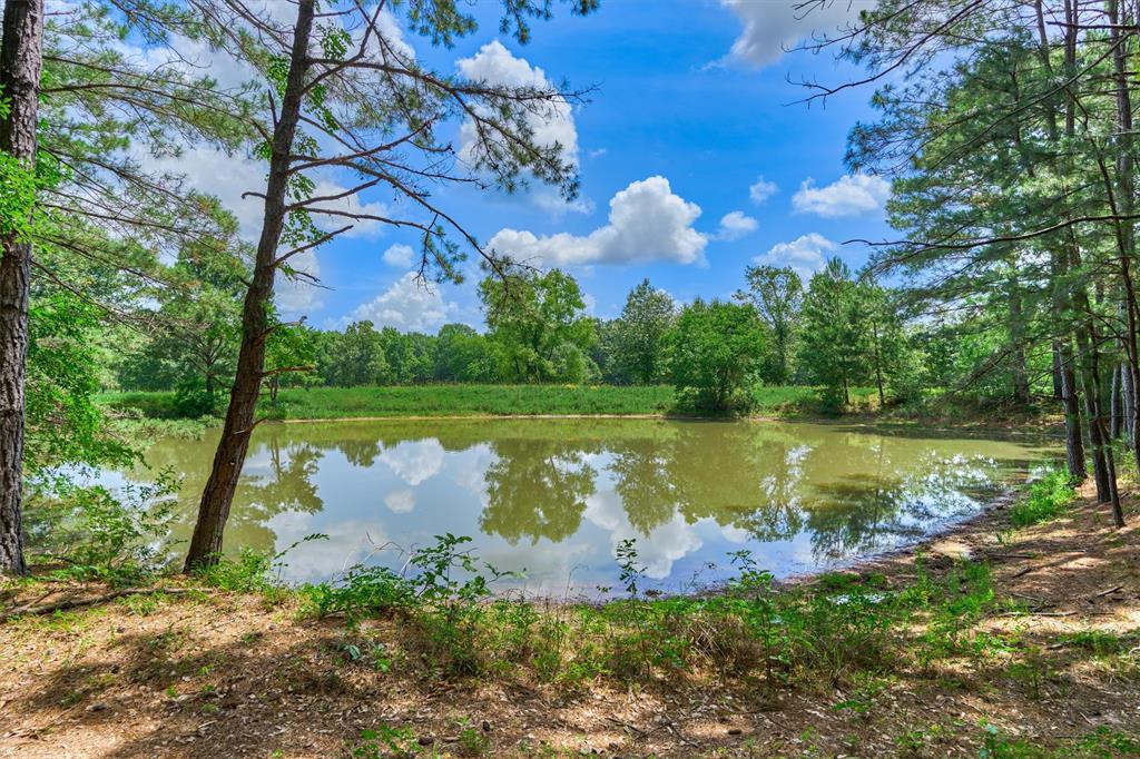 Tract B Sharp View Road, Montgomery, Texas image 1